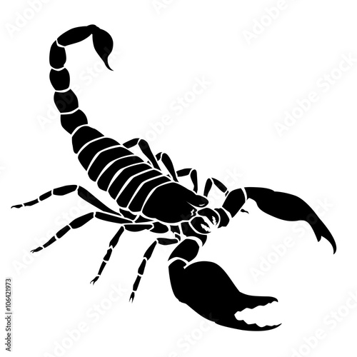Silhouette noire de scorpion sur fond blanc photo