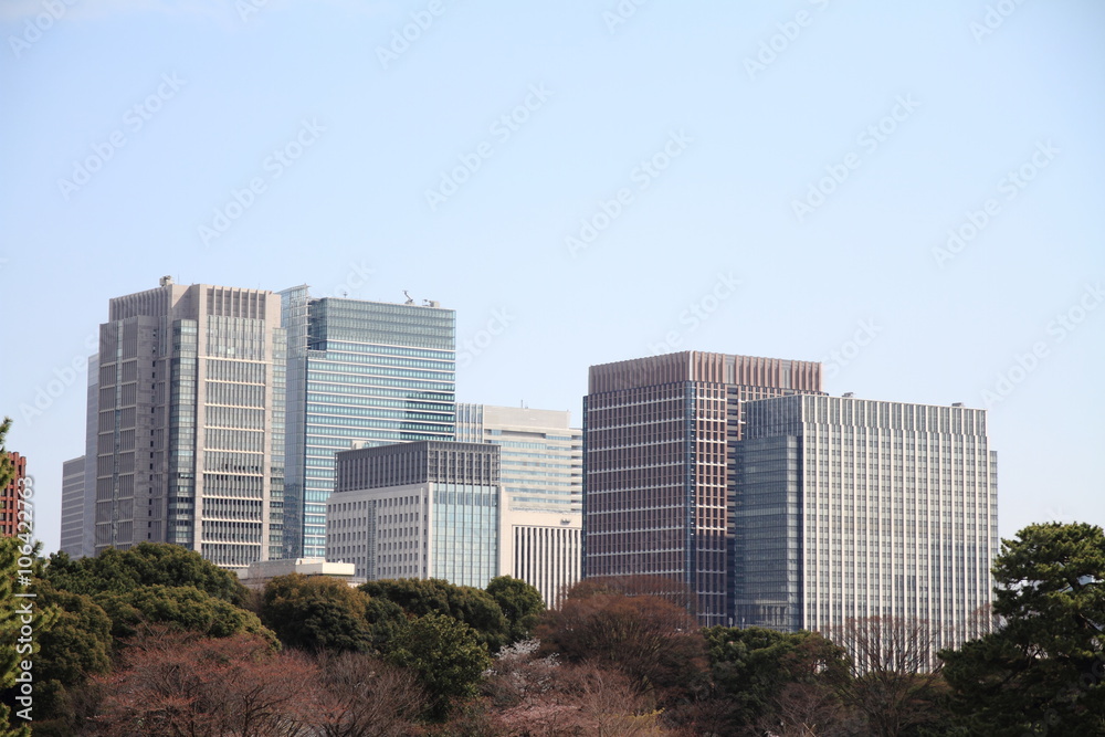 皇居東御苑から見た丸の内の高層ビル