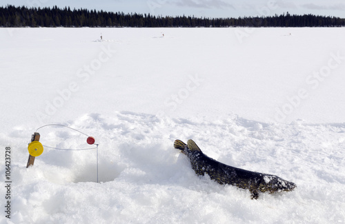 Pike on Ice