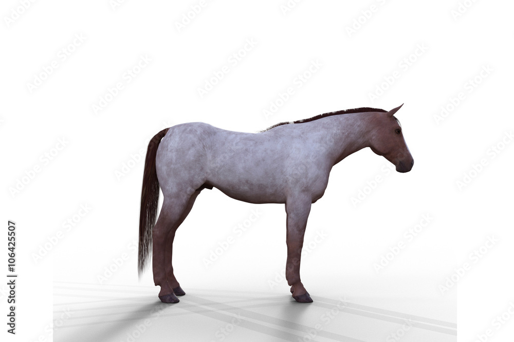 Cavalo cinza com a cabeça virada para a direita.