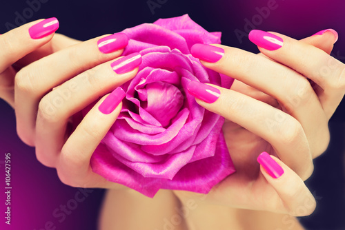 Elegant female hands with pink manicure on the nails . Beautiful fingers holding a rose .