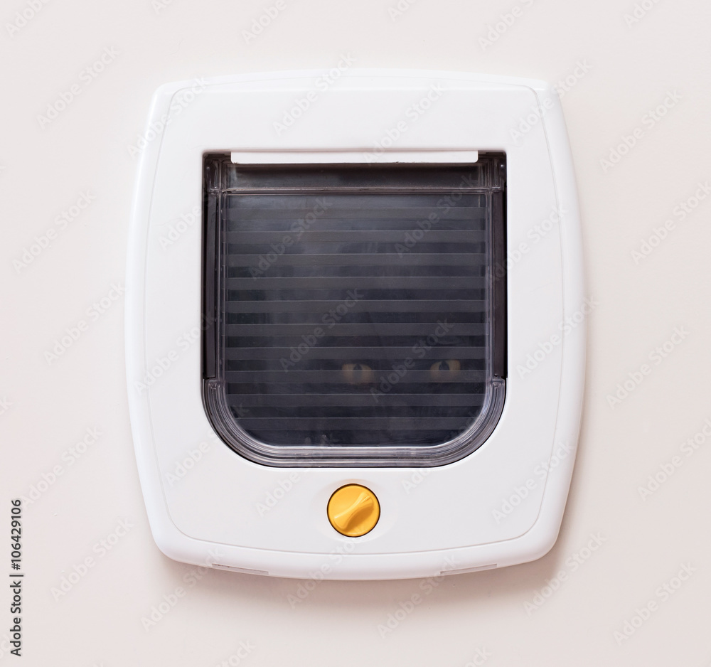 Obraz premium Inside view of a regular white cat flap, cat comming through