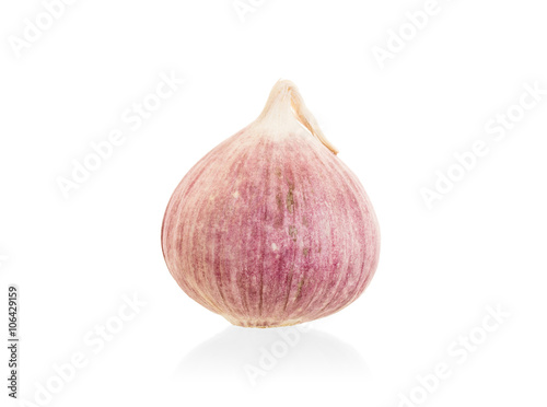 Raw garlic (small) isolated