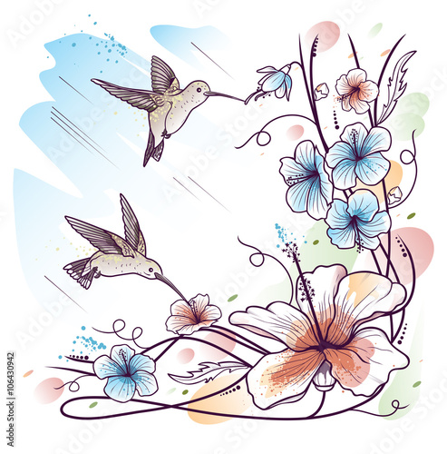 Humming-birds and tropical flowers on sky background © shepherd302