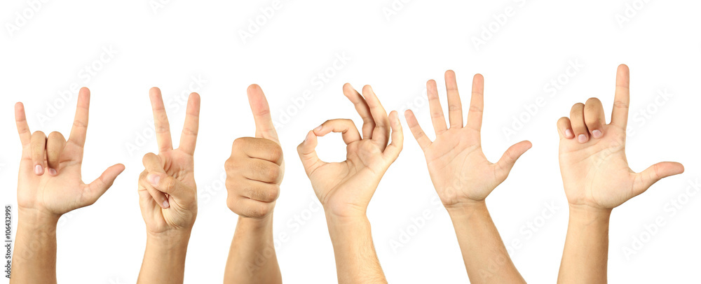 The Hand on a white background, collage The Hand on a white background, collage
