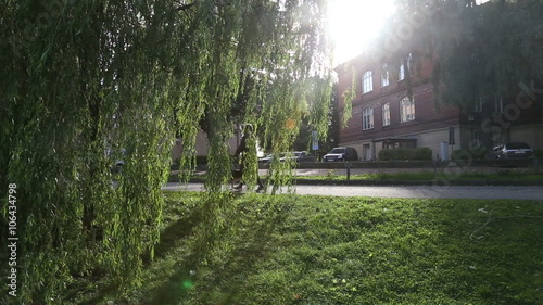 Park and river in the metropolis