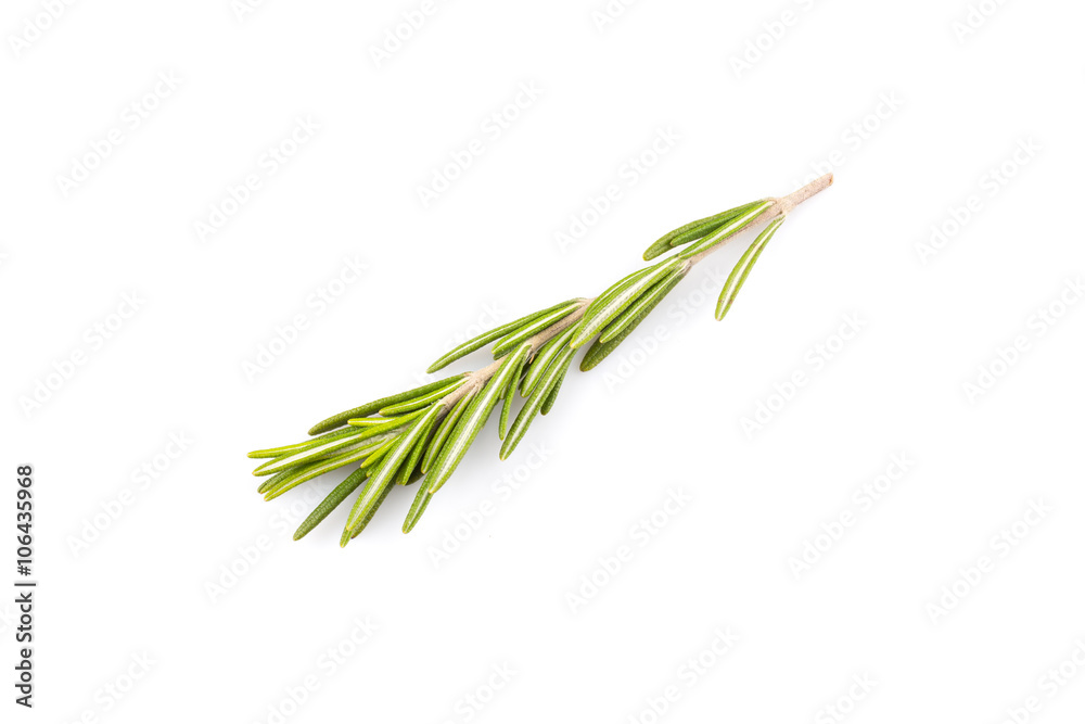 Naklejka premium rosemary isolated on white background
