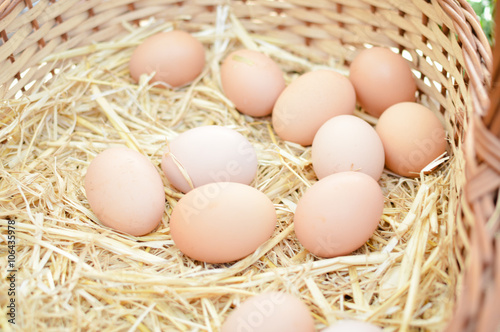 Basket with eggs on market