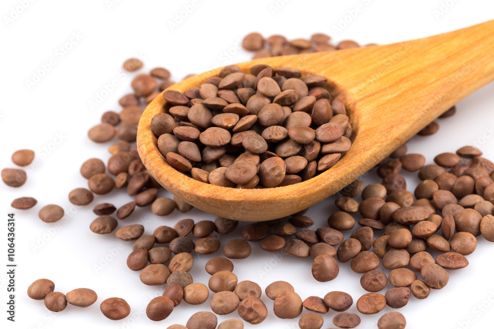 Lentils Isolated on White Background Lentils Isolated on White Background