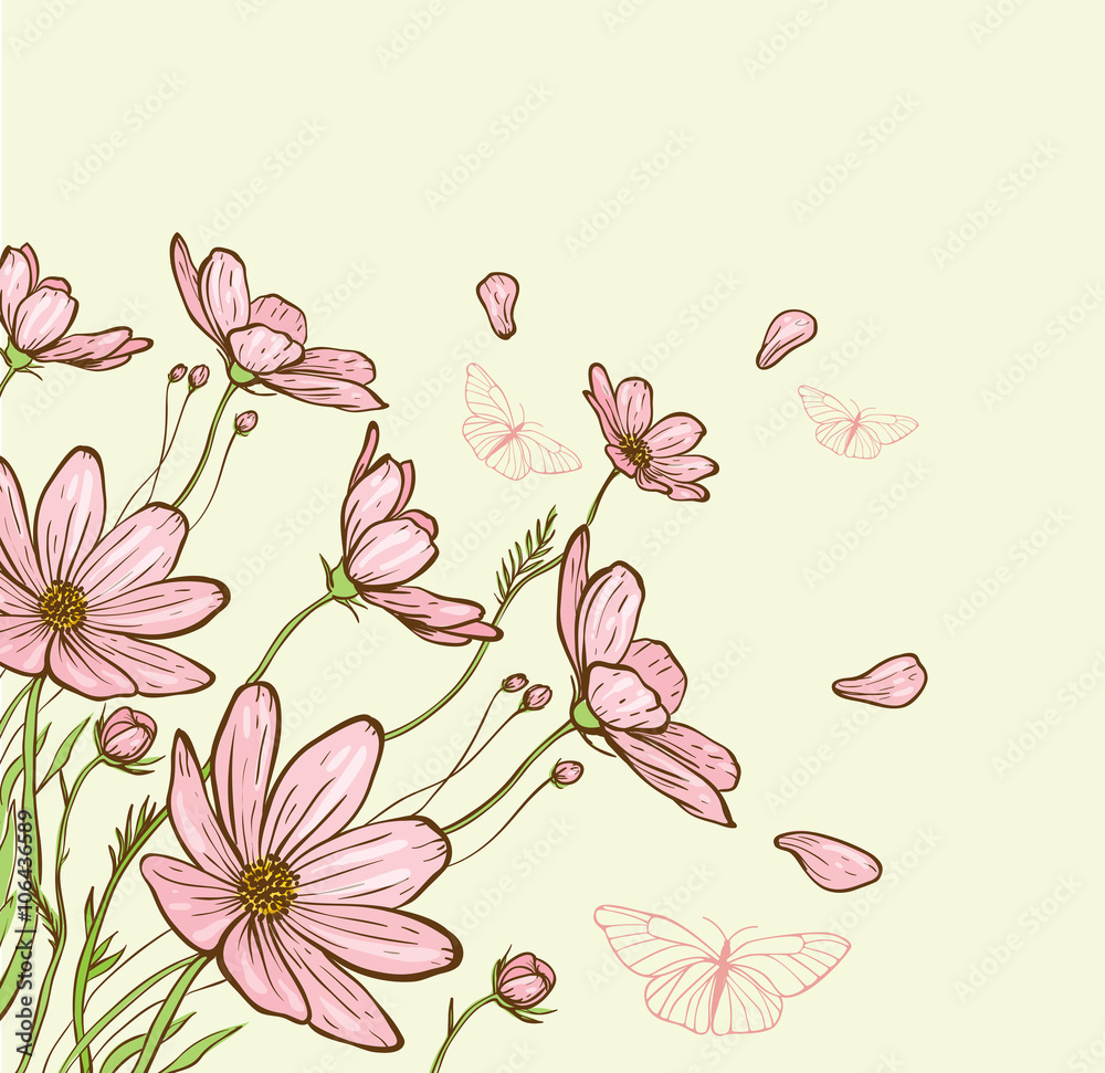 Cosmos flowers and butterfly Cosmos flowers and butterfly