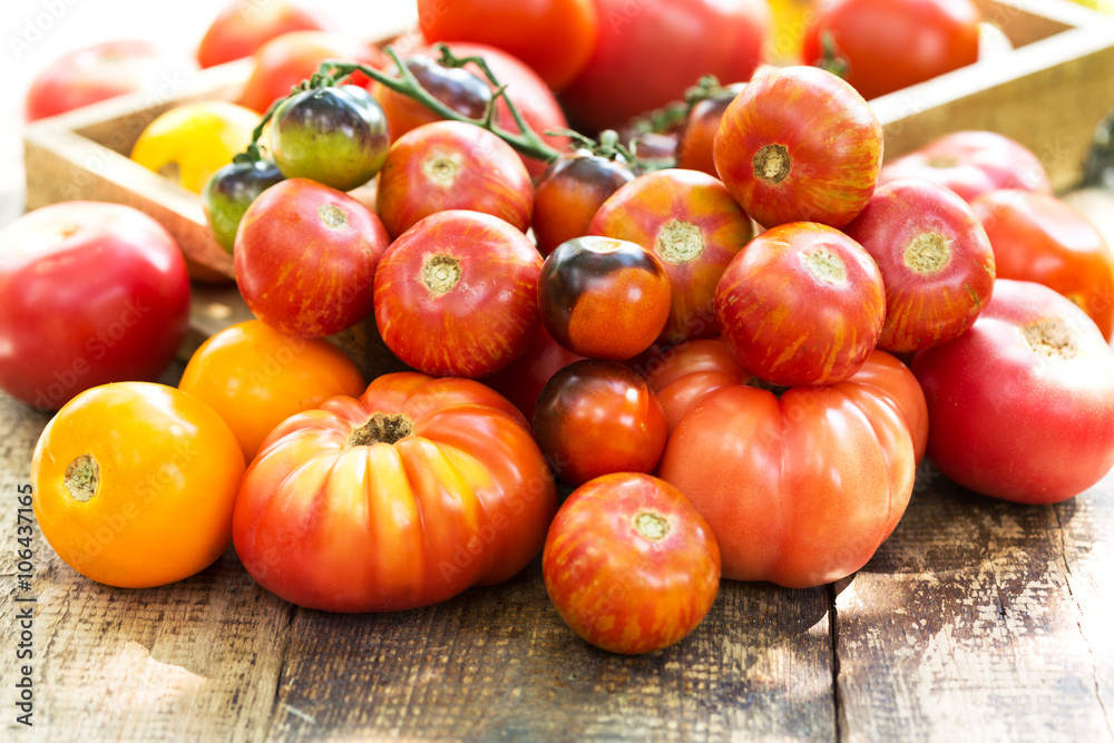 various tomatoes various tomatoes