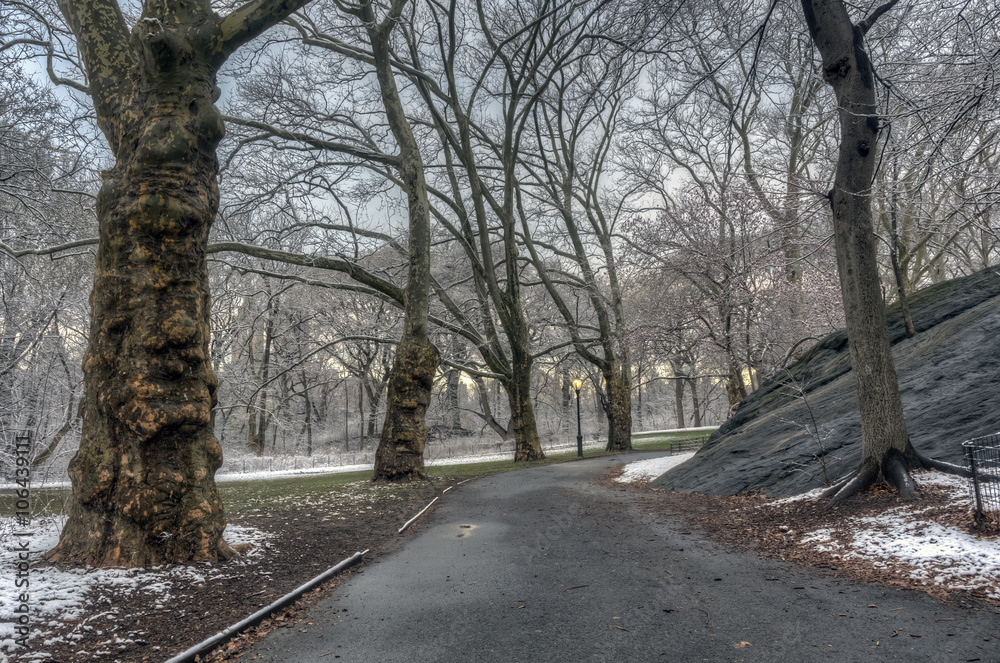 Central Park, New York City after snow storm