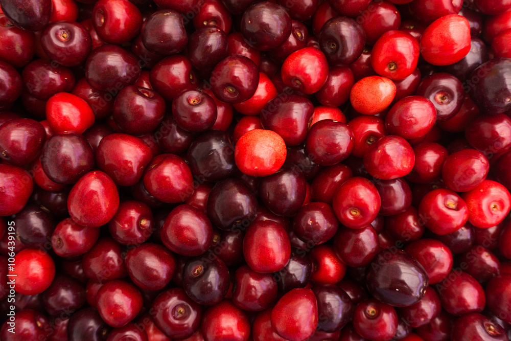 Red Cherries. Cherry selection Red Cherries. Cherry selection