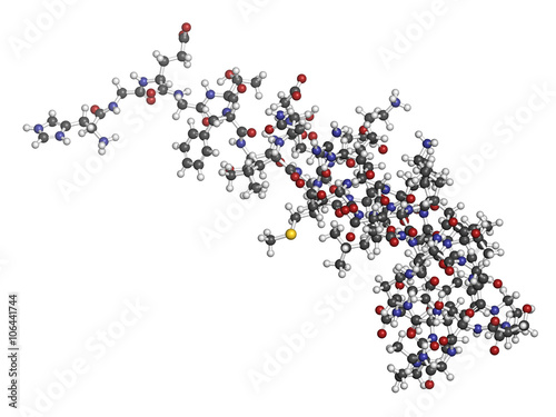 Fototapeta Naklejka Na Ścianę i Meble -  Exenatide diabetes drug molecule. 3D rendering. 