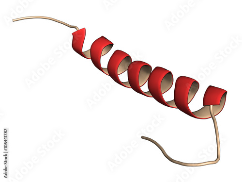 Exenatide diabetes drug molecule. 3D rendering. Cartoon representation. photo