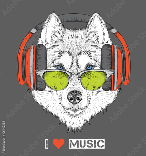 The image of the husky in the glasses, headphones and in hip-hop hat. Vector illustration.