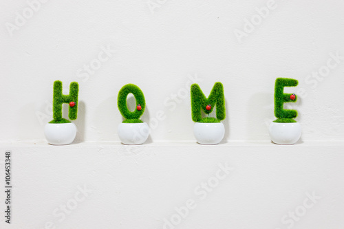 white wall Grass of HOME wording decoration