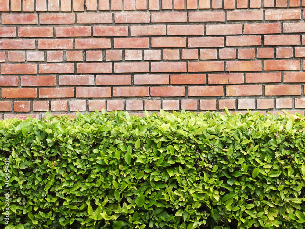 orange brick wall with green hedge orange brick wall with green hedge