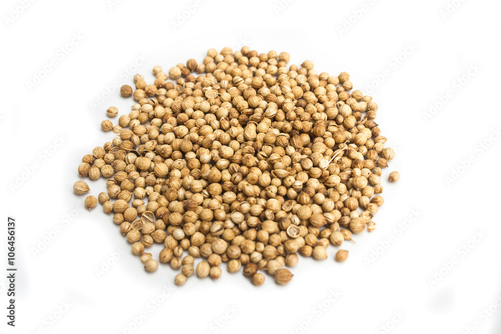 Coriander Seeds