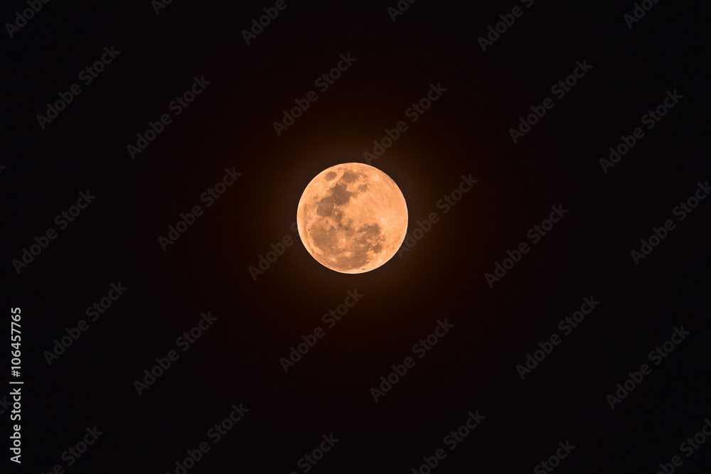 Naklejka premium The orange Full moon on the dark night
