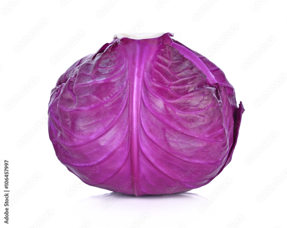 Purple cabbage on white background Purple cabbage on white background
