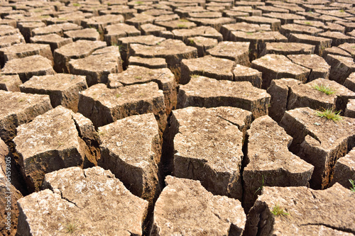 Cracked and barren ground