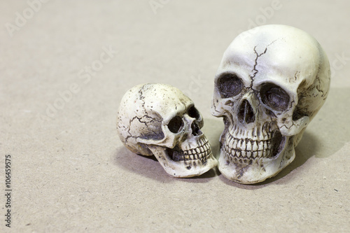 Still Life with a Skull and book on wooden table