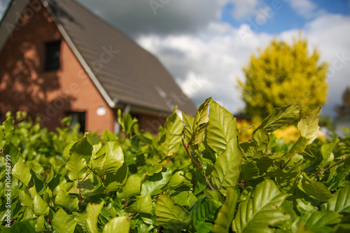 Einfamilienhaus mit Hecke