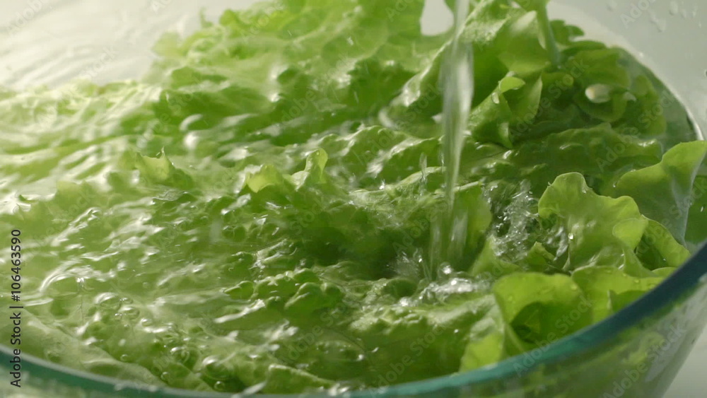 water pouring to the fresh green salad water pouring to the fresh green salad