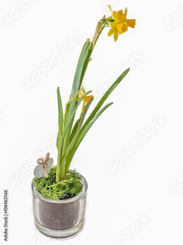 Plakat w ramie ŻONKIL