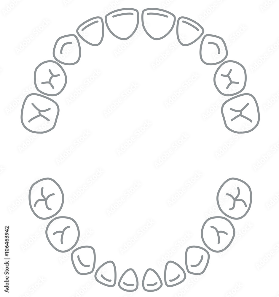 乳歯 歯並び Stock イラスト Adobe Stock