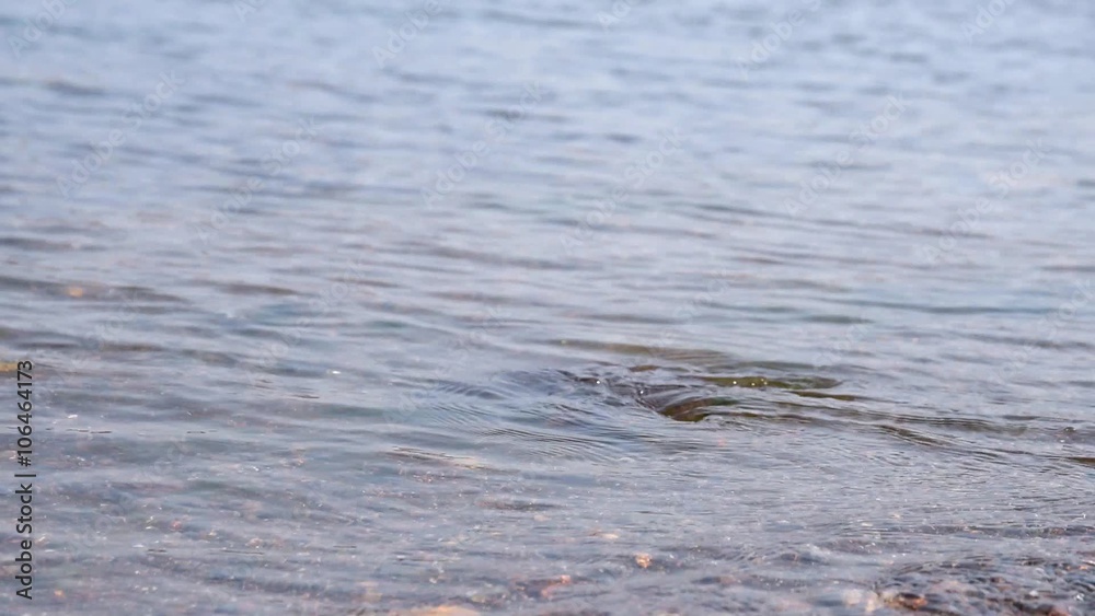 Waves crashing on seashore. Selective focus. Waves crashing on seashore. Selective focus.