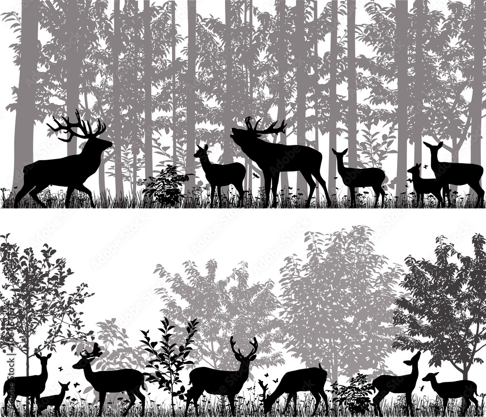 Obraz premium Stado jeleni w sylwetki na tle drzew