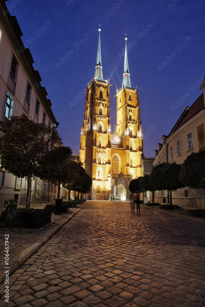 Fototapeta premium Cathedral at Night in City of Wroclaw