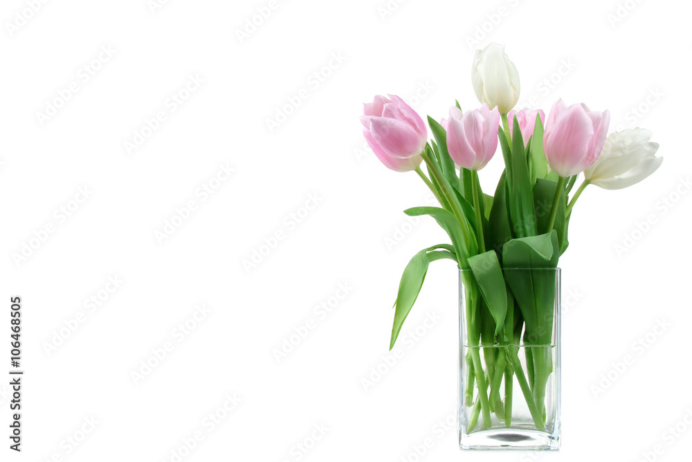 beautiful tulips in a stylish vase with water isolated on white background