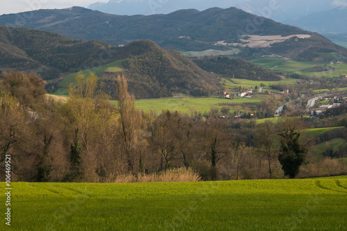 Tipica campagna marchigiana in primavera