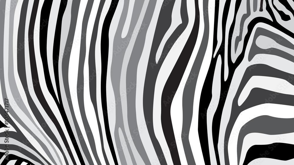 Zebra pattern created from grey and black colour, illustration Zebra pattern created from grey and black colour, illustration