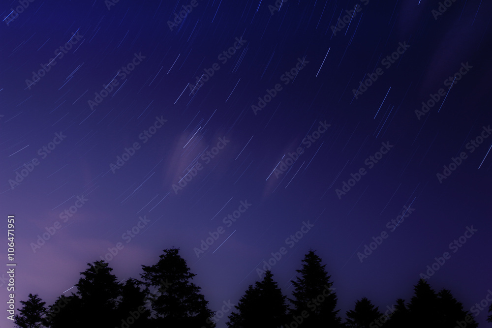 Milky way star-trails with forest silhouettes. Milky way star-trails with forest silhouettes.