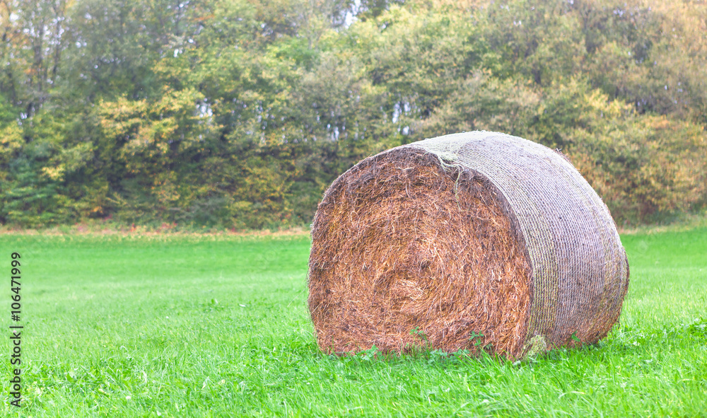 stack of hay on the grassland