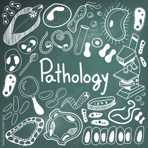 Pathology biology doodle handwriting icons of germ and pathogen for human disease such as virus, bacteria, fungus, amoeba, and Protozoa in blackboard background for education title (vector) 