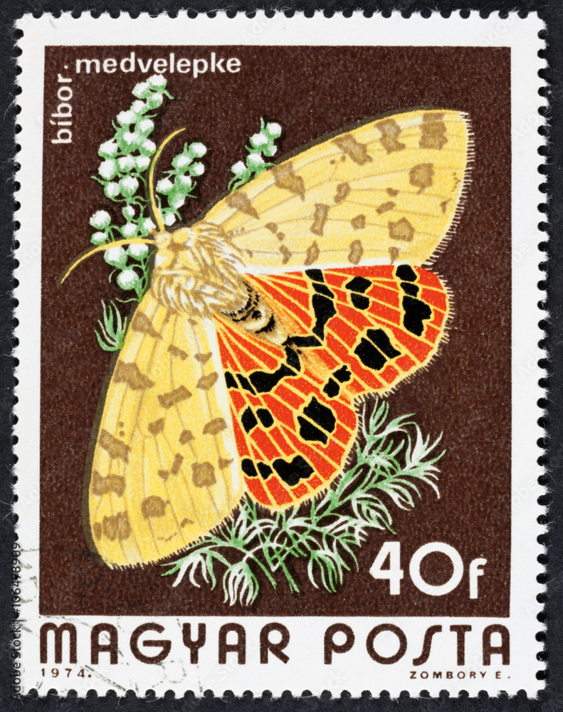 Naklejka premium GROOTEBROEK ,THE NETHERLANDS - MARCH 8,2016 : A stamp printed in Hungary a shows image of a Checked butterfly, circa 1974