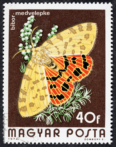 GROOTEBROEK ,THE NETHERLANDS - MARCH 8,2016 : A stamp printed in Hungary a shows image of a Checked butterfly, circa 1974 photo