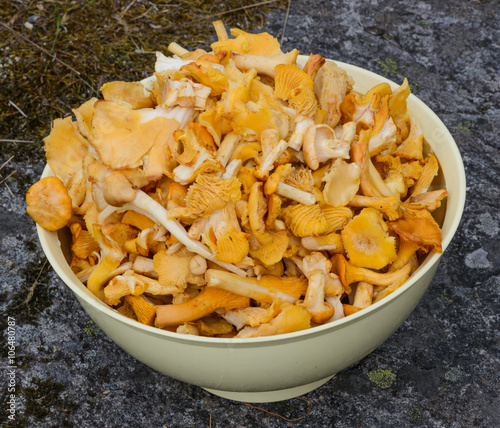 bowl with mushrooms