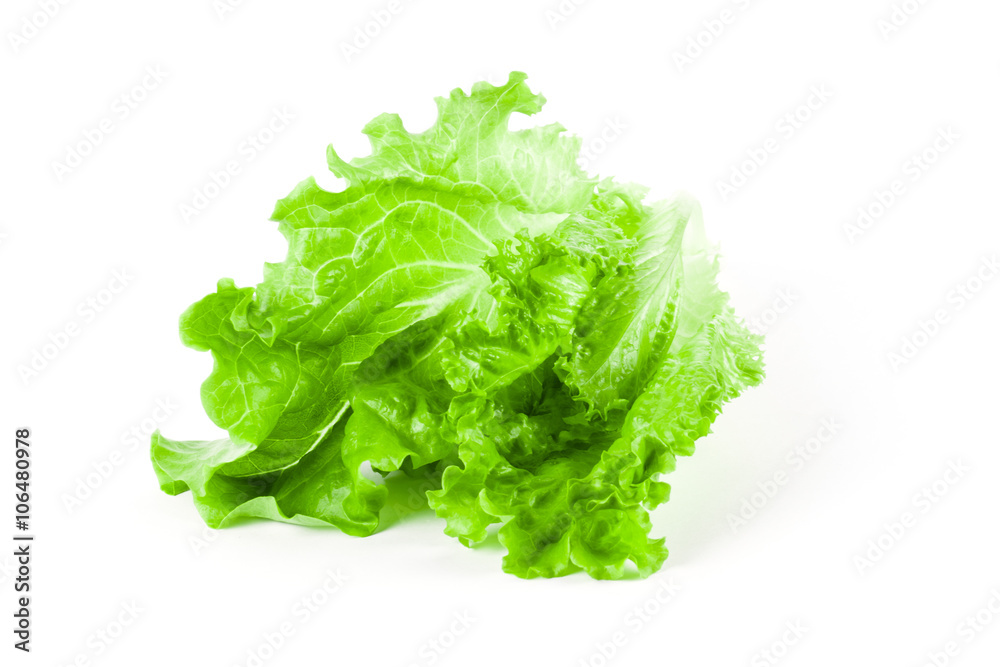 Lettuce isolated on white background Lettuce isolated on white background