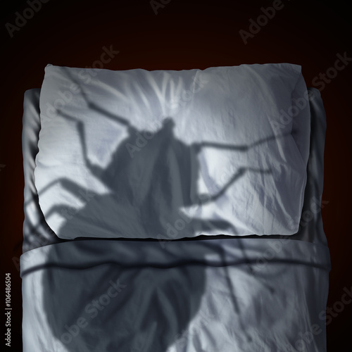 Bed Bug Fear