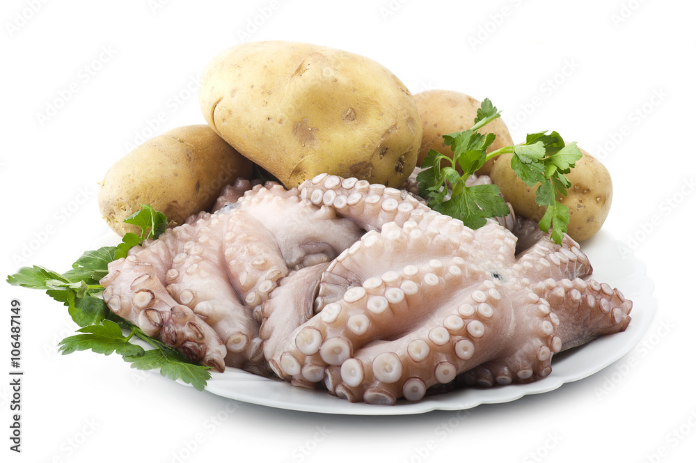 fresh octopus with potatoes and parsley on white plate fresh octopus with potatoes and parsley on white plate
