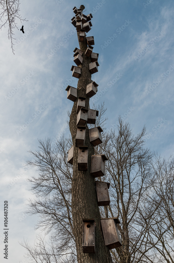 Fototapeta premium Birdhouses