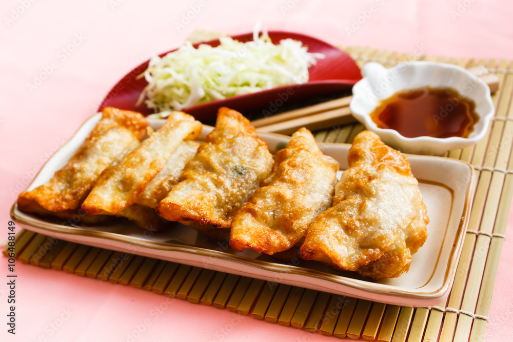 Fried Dumpling - Gyoza.