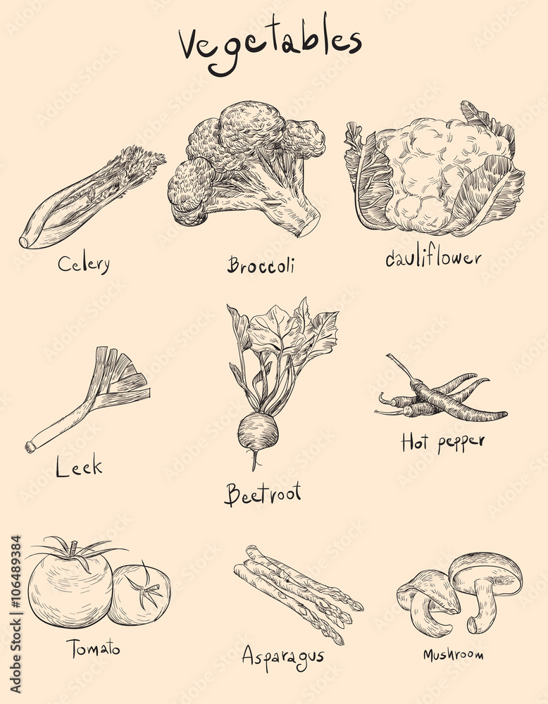 vegetables vegetables