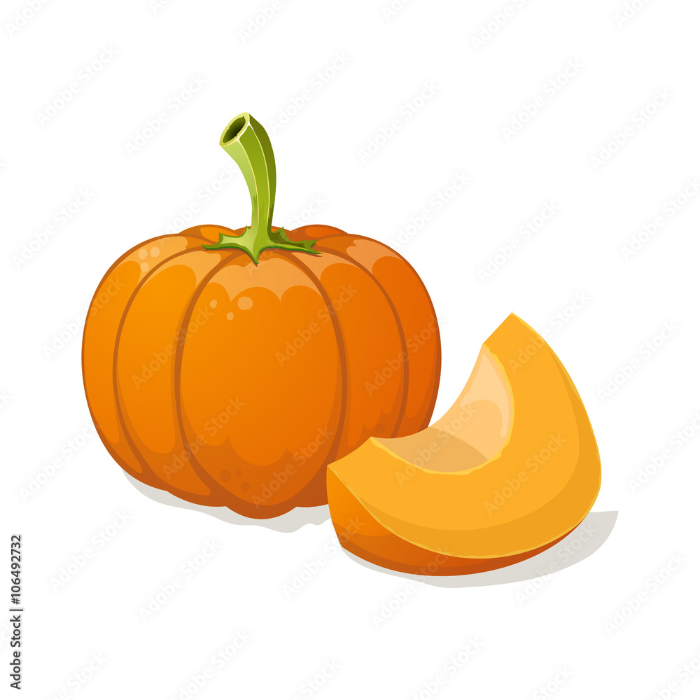 Pumpkin isolated on white. Vector illustration Pumpkin isolated on white. Vector illustration